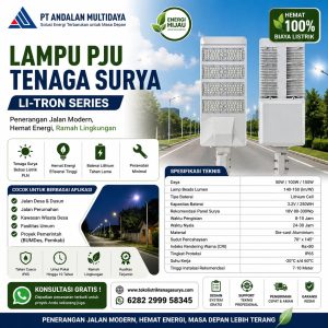 lampu pju tenaga surya two in one 110 watt
