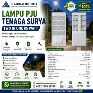 lampu pju tenaga surya two in one 85 watt